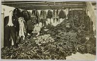 A Corner of Our Raw Fur Dept., Spring Collection, 18000 Muskrats, Wm. Loch & Sons