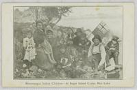 Missausagua Indian Children - At Sugar Island Camp, Rice Lake