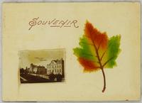 Souvenir: Ontario Agricultural College