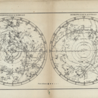 Hemisphaerium boreale ; Hemisphaerium australe