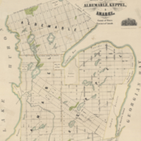 Map of the Saugeen Indian peninsula shewing the townships of Albemarle, Keppel, & Amabel