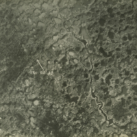 28.O6 [Northeast of Hollebeke, Ypres Canal] August 7, 1917