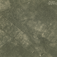 20.O35 [Carrefour Richelieu to Lefebvre Cross Roads, Houthulst Forest] December 18, 1917