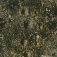 28.O2 [St. Eloi Craters] March 31, 1916