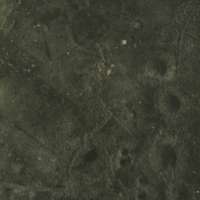 28.O2 [St. Eloi Craters] April 16, 1916