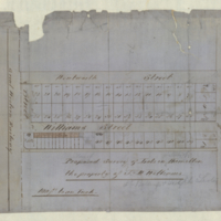 Proposed survey of lots in Hamilton, the property of J. M. Williams