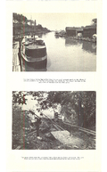 Big Creek Region Conservation Report, 1958 - Wildlife-00030