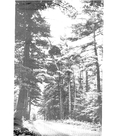 Moira Valley conservation report, 1955-00123