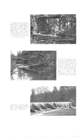 Otter Valley conservation report 1957-00113