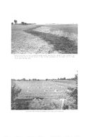 Otter Valley conservation report 1957-00237