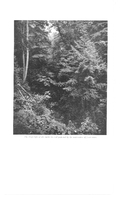 Otter Valley conservation report 1957-00311