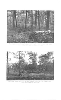 Otter Valley conservation report 1957-00322