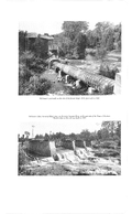 Saugeen Valley conservation report, 1952-00063