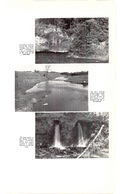 Saugeen Valley conservation report, 1952-00089