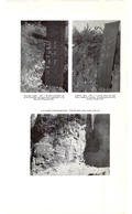 Saugeen Valley conservation report, 1952-00117