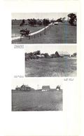 Saugeen Valley conservation report, 1952-00156