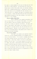 Saugeen Valley conservation report, 1952-00207