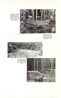 Saugeen Valley conservation report, 1952-00228