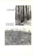 Saugeen Valley conservation report, 1952-00262