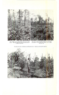 Saugeen Valley conservation report, 1952-00271