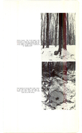Saugeen Valley conservation report, 1952-00342