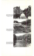 Saugeen Valley conservation report, 1952-00428