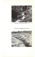 Saugeen Valley conservation report, 1952-00435