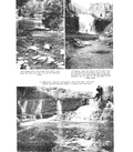 Credit Valley conservation report, 1957-00146