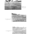 Upper Saugeen Valley conservation report, 1953-00079