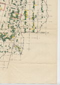 Source areas reforestation land and existing woodland, Ausable watershed-02-4