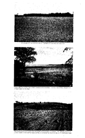 North Grey Region conservation report, 1959-00201