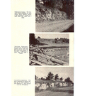Moira Valley conservation report 1950-00034