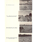 Moira Valley conservation report 1950-00036