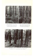 Grand Valley conservation report, 1954-00041