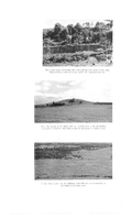 Grand Valley conservation report, 1954-00336