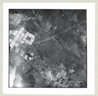 [Regional Municipality of Hamilton-Wentworth and surrounding area, 1955] : [Flightline 4323-Photo 197]