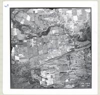 [Regional Municipality of Hamilton-Wentworth and surrounding area, 1954] : [Flightline 4312-Photo 135]