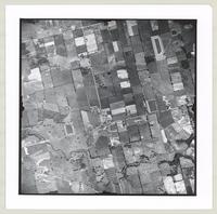 [Regional Municipality of Hamilton-Wentworth and surrounding area, 1955] : [Flightline 4313-Photo 113]