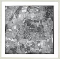 [Regional Municipality of Hamilton-Wentworth and surrounding area, 1955] : [Flightline 4314-Photo 229]