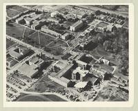 [McMaster University campus, 1964 or 1965]