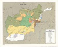 Afghanistan Major Insurgent Groups