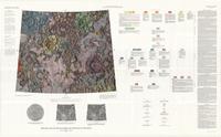 Map I-799: Geologic map of the Macrobius quadrangle of the Moon